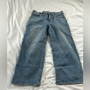 Madewell the Perfect Vintage Wide Leg